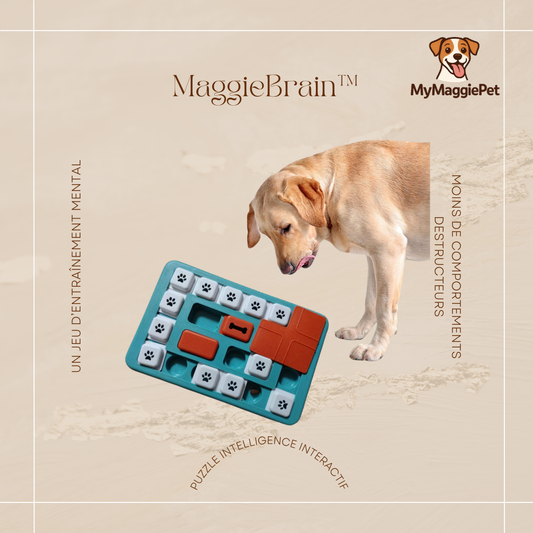 MaggieBrain™ - Puzzle Intelligence Interactif pour Chien