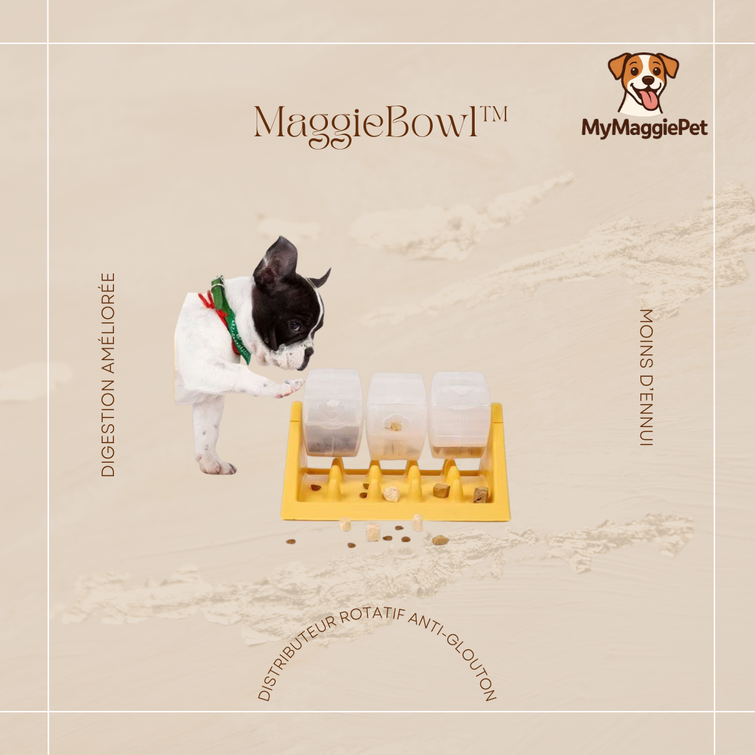 MaggieBowl™ – Le jouet intelligent qui occupe votre chien pendant des heures