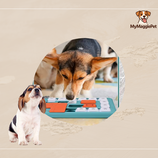 MaggieBrain™ - Puzzle Intelligence Interactif pour Chien
