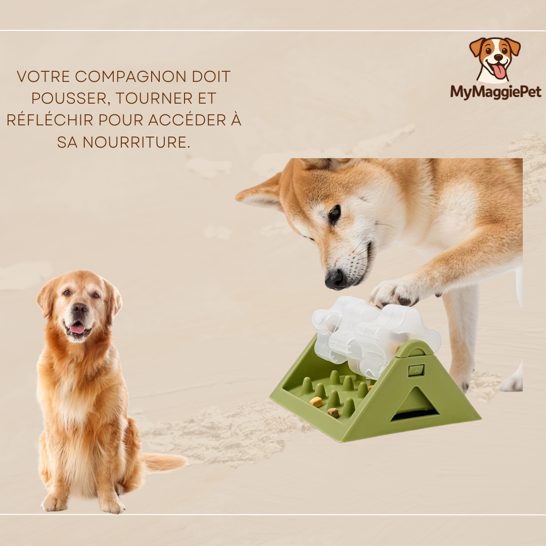 MaggieBowl™ – Le jouet intelligent qui occupe votre chien pendant des heures