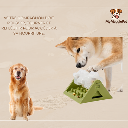 MaggieBowl™ – Le jouet intelligent qui occupe votre chien pendant des heures