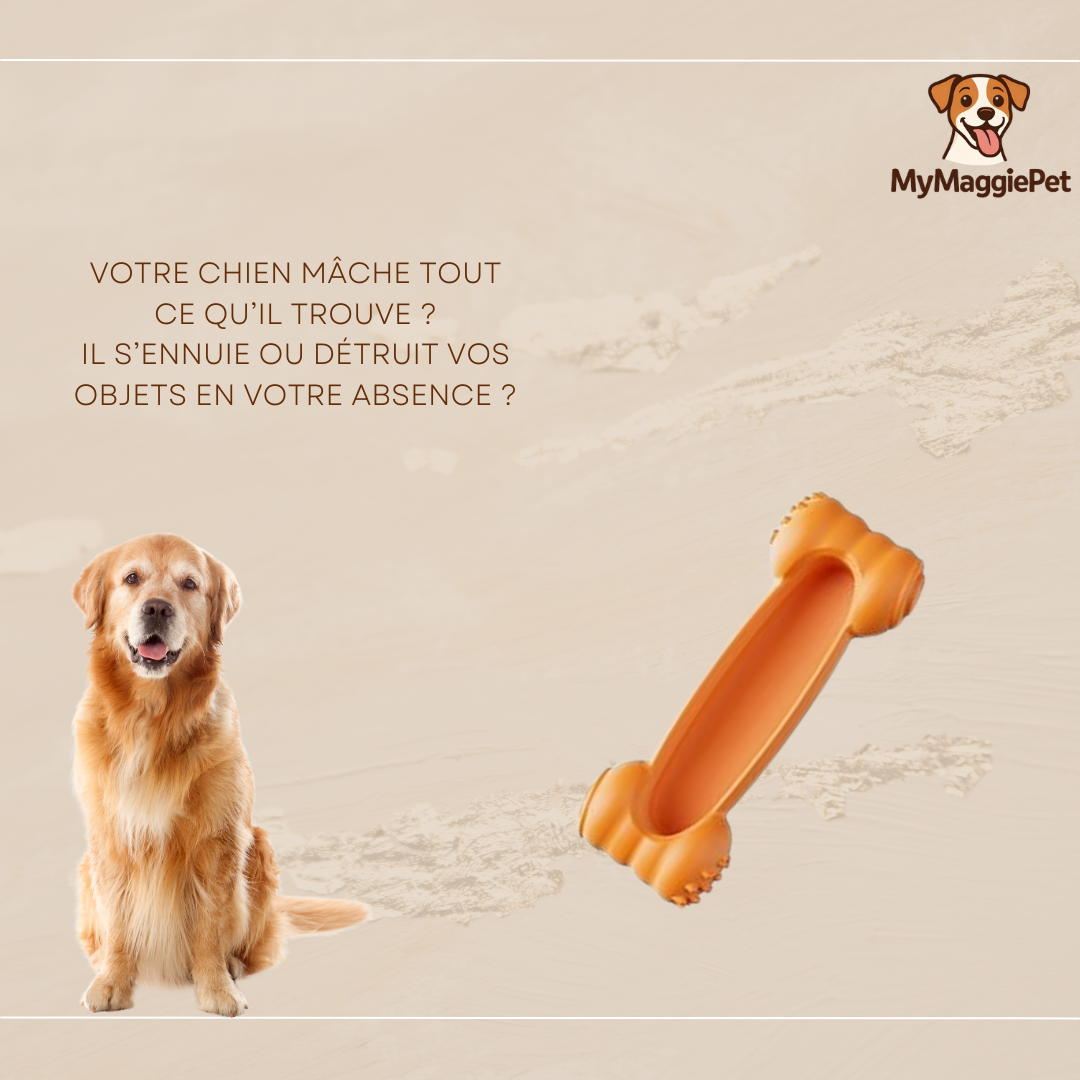 SmartCroc™ - Os à Remplir Ultra Résistant pour Chien