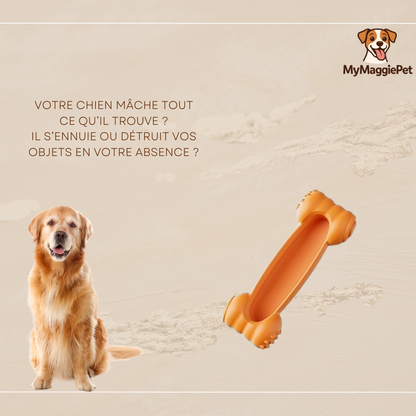SmartCroc™ - Os à Remplir Ultra Résistant pour Chien
