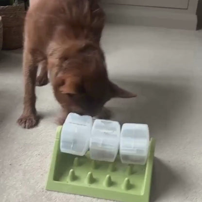MaggieBowl™ – Le jouet intelligent qui occupe votre chien pendant des heures