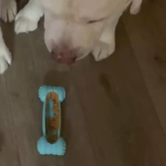 SmartCroc™ - Os à Remplir Ultra Résistant pour Chien